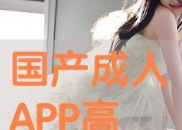 成人国产网,探索成人世界的虚拟空间