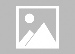 国产鸡情,探寻我国鸡肉产业的崛起之路