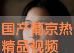 国产精品视频在线观看视频,在线观看，畅享视听盛宴