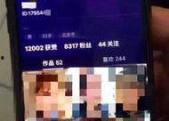 国产成人在线短视频,揭秘国内私密娱乐市场新趋势