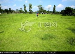 青青青草国产视频,国产视频中的青春记忆与成长轨迹