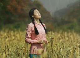 青青草国产电影,国产电影中的青春记忆与成长轨迹