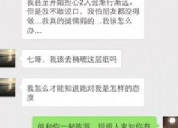 国产113页,深度解析我国科技发展的新篇章